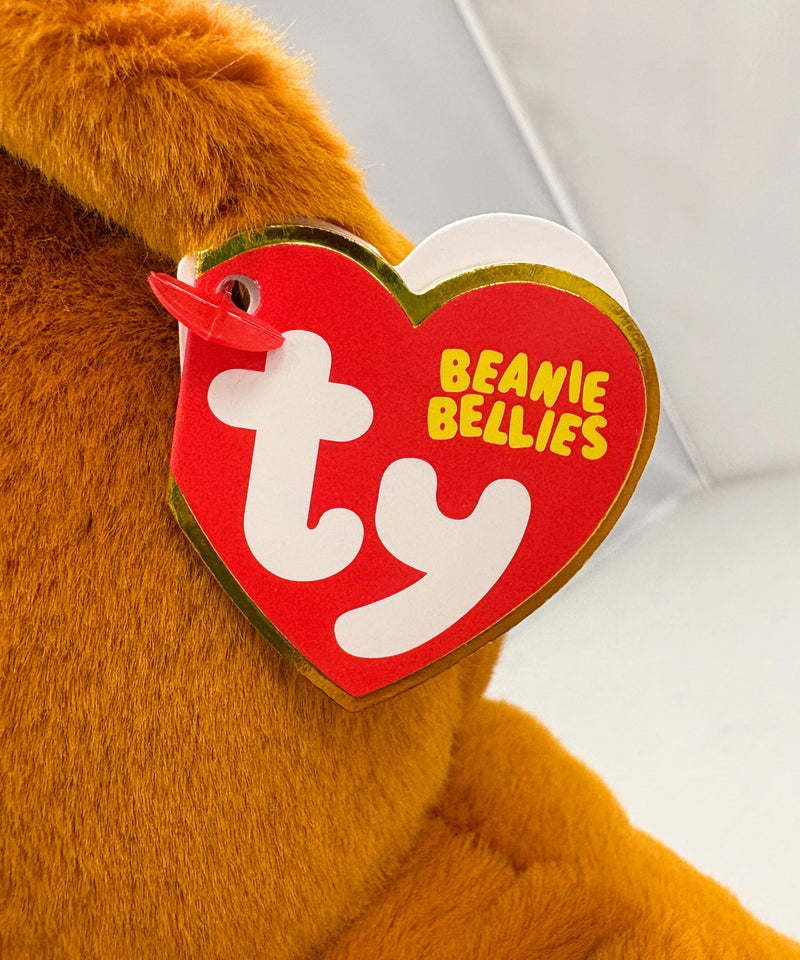Ty Beanie Bellies - Duncan the Teddy Bear, Medium (9")