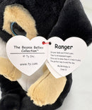Ty Beanie Bellies - Ranger the Black Lab, Medium (8")