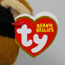 Ty Beanie Bellies - Scully the Pirate Bear
