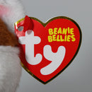 Ty Beanie Bellies - Witt the Fox