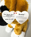 Ty Beanie Boos - Brutus the Boxer, (9"), Glitter Eyes