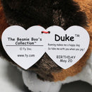 Ty Beanie Boos - Duke the Saint Bernard, Medium (8"), Glitter Eyes