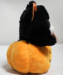 Ty Beanie Boos - Edgar the Cat in a Jack O' Lantern, Glitter Eyes, Walgreens Exclusive