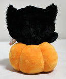Ty Beanie Boos - Edgar the Cat in a Jack O' Lantern, Glitter Eyes, Walgreens Exclusive