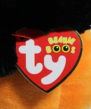 Ty Beanie Boos - Edgar the Cat in a Jack O' Lantern, Glitter Eyes, Walgreens Exclusive