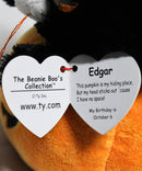 Ty Beanie Boos - Edgar the Cat in a Jack O' Lantern, Glitter Eyes, Walgreens Exclusive
