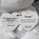Ty Beanie Boos - Frost the White Arctic Fox, Medium (9"), Glitter Eyes