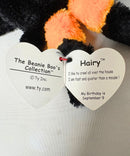 Ty Beanie Boos - Hairy the Halloween Spider, (3"), Glitter Eyes