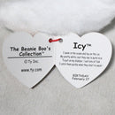 Ty Beanie Boos - Icy the White Seal, Medium (5"), Glitter Eyes