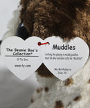 Ty Beanie Boos- Muddles the Dog, Glitter Eyes