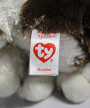 Ty Beanie Boos- Muddles the Dog, Glitter Eyes