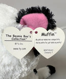 Ty Beanie Boos - Muffin the Cat, (9"), Solid Eyes