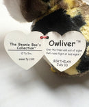 Ty Beanie Boos - Owliver the Camo Owl, (6"), Glitter Eyes
