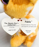 Ty Beanie Boos - Pablo the Chihuahua, Glitter Eyes