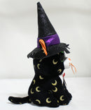 Ty Beanie Boos - Pandora the Witch Cat, Glitter Eyes