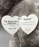 Ty Beanie Boos - Peanut the Gray Elephant (Sparkle Ears), Medium (9"), Glitter Eyes