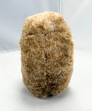 Ty Beanie Boos - Pinecone the Hedgehog, Glitter Eyes, Walgreens