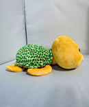 Ty Beanie Boos - Pokey the Green Sea Turtle, Large (16"), Glitter Eyes