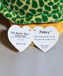 Ty Beanie Boos - Pokey the Green Sea Turtle, Large (16"), Glitter Eyes