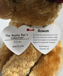 Ty Beanie Boos- Rowan the Pirate Dog, Glitter Eyes