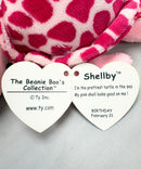 Ty Beanie Boos - Shellby the Sea turtle, Glitter Eyes