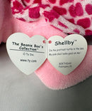 Ty Beanie Boos - Shellby the Pink Sea Turtle, Medium (4"), Glitter Eyes