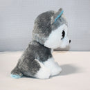 Ty Beanie Boos - Slush the Grey Husky, Medium (9"), Glitter Eyes