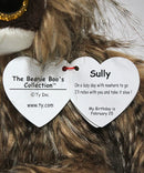 Ty Beanie Boos- Sully the Sloth, Glitter Eyes
