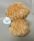 Ty Beanie Boos - Tangerine the Orangutan, (5"), Solid Eyes