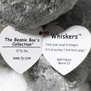 Ty Beanie Boos - Whiskers the Schnauzer, Medium (9"), Glitter Eyes