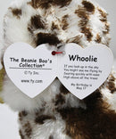 Ty Beanie Boos- Whoolie the Owl, Glitter Eyes