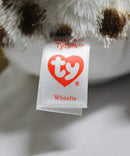 Ty Beanie Boos- Whoolie the Owl, Glitter Eyes