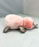 Ty Beanie Boos - Wilma the Platypus, Glitter Eyes