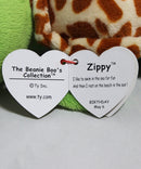 Ty Beanie Boos - Zippy the Sea Turtle, Glitter Eyes