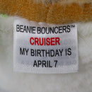 Ty Bouncers - Cruiser the Turtle