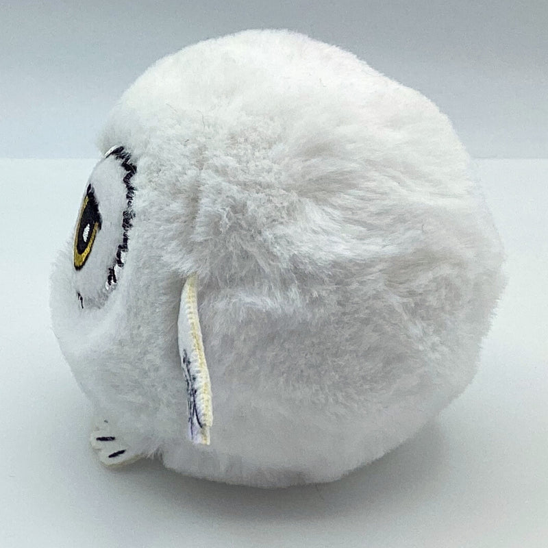 Ty Bouncers - Hedwig the Owl, Harry Potter