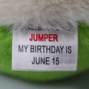 Ty Bouncers - Jumper the Frog