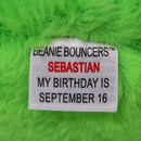 Ty Bouncers - Sebastian the Alien