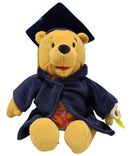 Gradnite Pooh, Vintage Disney Plush, Theme Park Edition, Winnie the Pooh, 7"