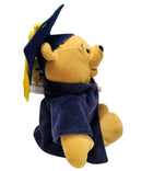 Gradnite Pooh, Vintage Disney Plush, Theme Park Edition, Winnie the Pooh, 7"
