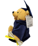 Gradnite Pooh, Vintage Disney Plush, Theme Park Edition, Winnie the Pooh, 7"