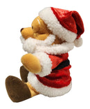 Pere Noel Pooh, Vintage Disney Plush, Store Exclusive, Winnie the Pooh, 8"