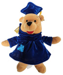 Graduate Pooh, Vintage Disney Plush, Winnie the Pooh, 9"