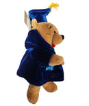 Graduate Pooh, Vintage Disney Plush, Winnie the Pooh, 9"