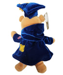 Graduate Pooh, Vintage Disney Plush, Winnie the Pooh, 9"