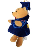 Graduate Pooh, Vintage Disney Plush, Winnie the Pooh, 9"