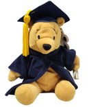 Gradnite Pooh, Vintage Disney Plush, Winnie the Pooh, 7"