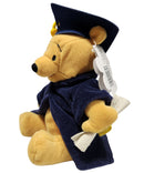 Gradnite Pooh, Vintage Disney Plush, Winnie the Pooh, 7"