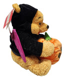 Pooh Halloween Plush, Vintage Disney Plush, Store Exclusive, Winnie the Pooh, 9"