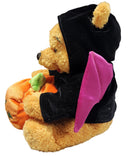 Pooh Halloween Plush, Vintage Disney Plush, Store Exclusive, Winnie the Pooh, 9"